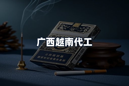 广西越南代工